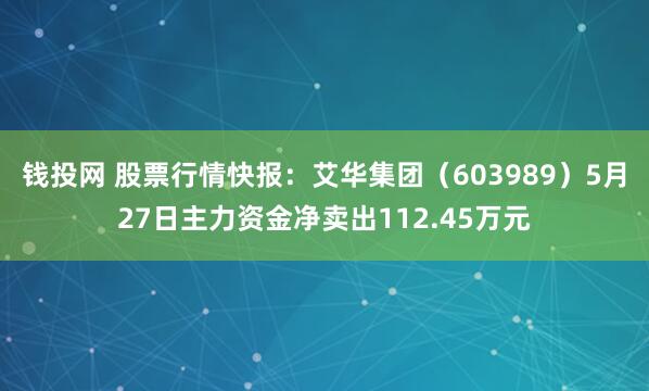 钱投网 股票行情快报：艾华集团（603989）5月27日主力资金净卖出112.45万元