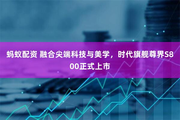 蚂蚁配资 融合尖端科技与美学，时代旗舰尊界S800正式上市
