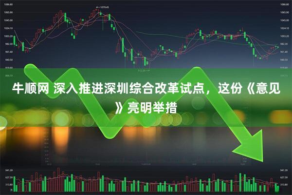 牛顺网 深入推进深圳综合改革试点，这份《意见》亮明举措