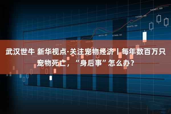 武汉世牛 新华视点·关注宠物经济丨每年数百万只宠物死亡，“身后事”怎么办？