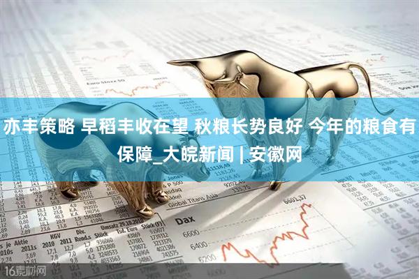 亦丰策略 早稻丰收在望 秋粮长势良好 今年的粮食有保障_大皖新闻 | 安徽网