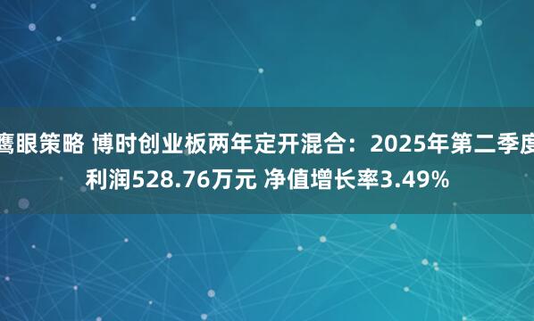 鹰眼策略 博时创业板两年定开混合：2025年第二季度利润528.76万元 净值增长率3.49%