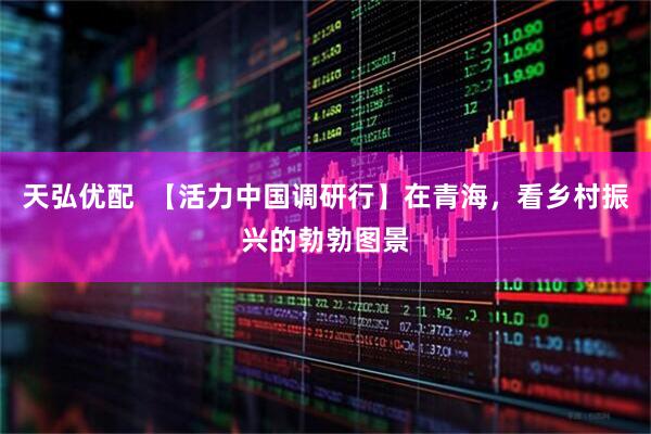 天弘优配  【活力中国调研行】在青海，看乡村振兴的勃勃图景