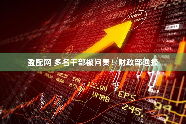 盈配网 多名干部被问责！财政部通报