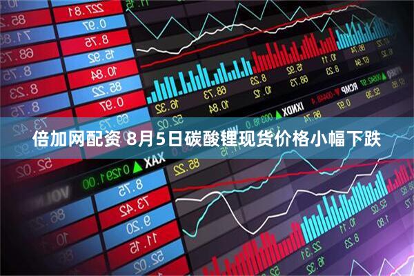 倍加网配资 8月5日碳酸锂现货价格小幅下跌