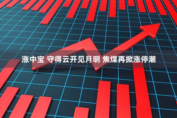 涨中宝 守得云开见月明 焦煤再掀涨停潮