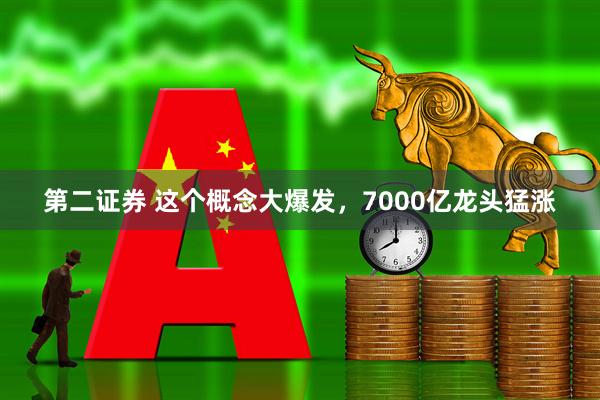 第二证券 这个概念大爆发，7000亿龙头猛涨