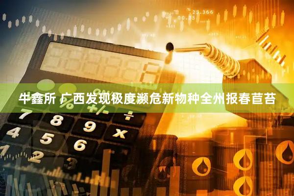 牛鑫所 广西发现极度濒危新物种全州报春苣苔