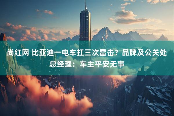 尚红网 比亚迪一电车扛三次雷击？品牌及公关处总经理：车主平安无事
