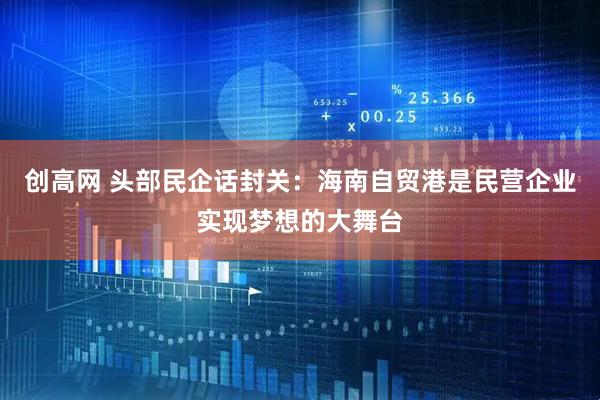 创高网 头部民企话封关：海南自贸港是民营企业实现梦想的大舞台